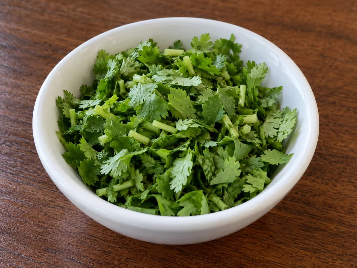 Cilantro